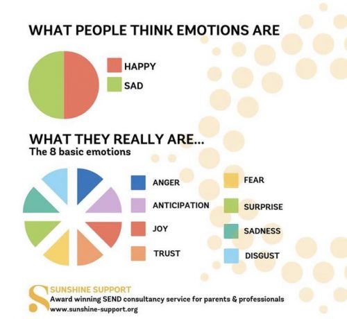 Sunshine Support Emotions Infographic